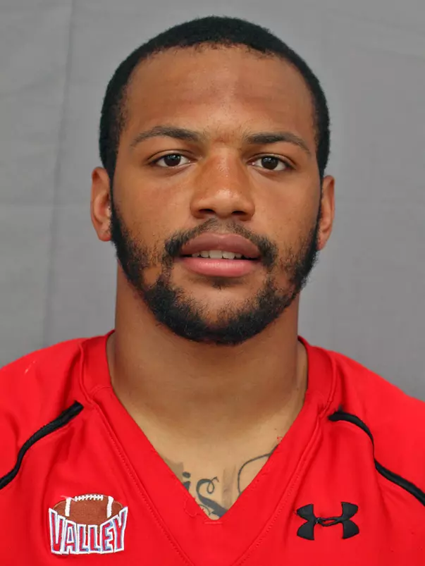 Bryce Gibson