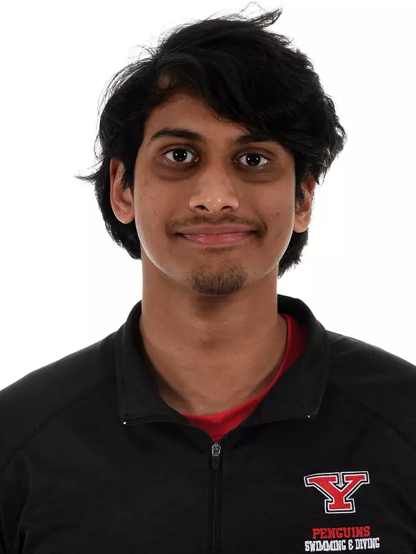 Karan Raju