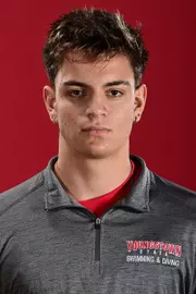 David Nacarino