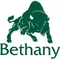 Bethany Bison