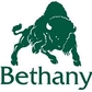 Bethany Bison