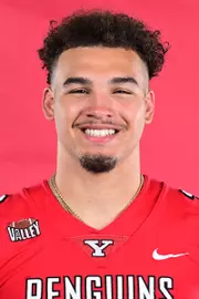 Mike Wells Headshot