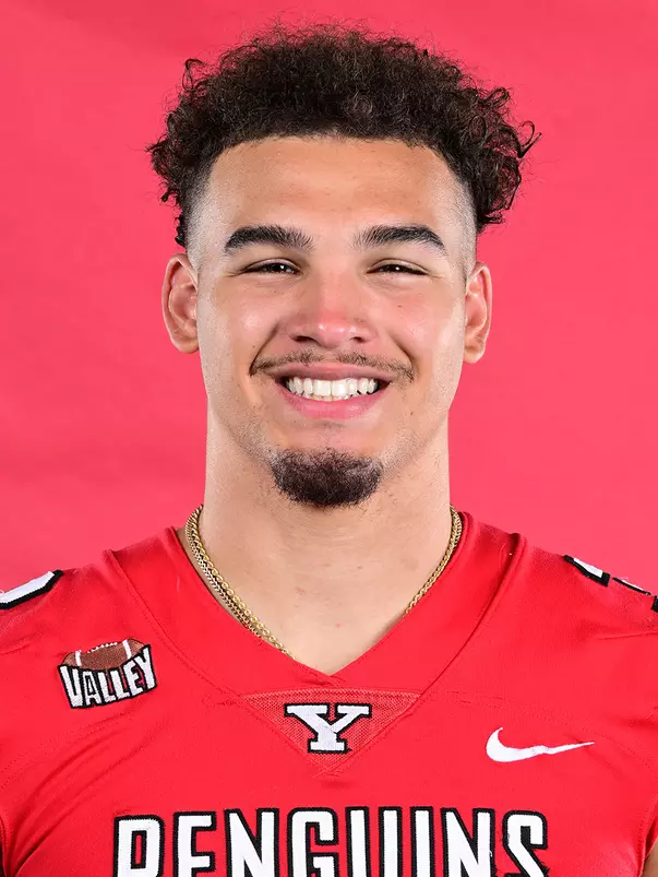 Mike Wells Headshot