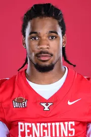 Lynn Wyche-El