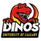 University of CalgaryLogo