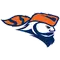 Carroll UniversityLogo