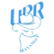 American-Puerto Rico logo