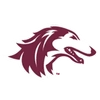 Southern Illinois University