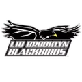Courtyard LaGuardia Turkey Classic (hosted by LIU)