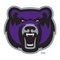 Central Arkansas logo