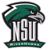 Northeastern State