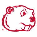 Minot State