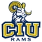 Columbia Int'l logo