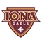 Iona logo