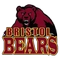 Bristol logo
