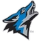 Csusb logo