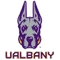 Albany (NY) logo