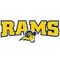 Texas Wesleyan logo