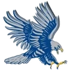 DSU