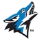 CSU San Bernardino logo