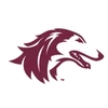 Southern Illinois University