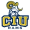 Columbia Int. logo