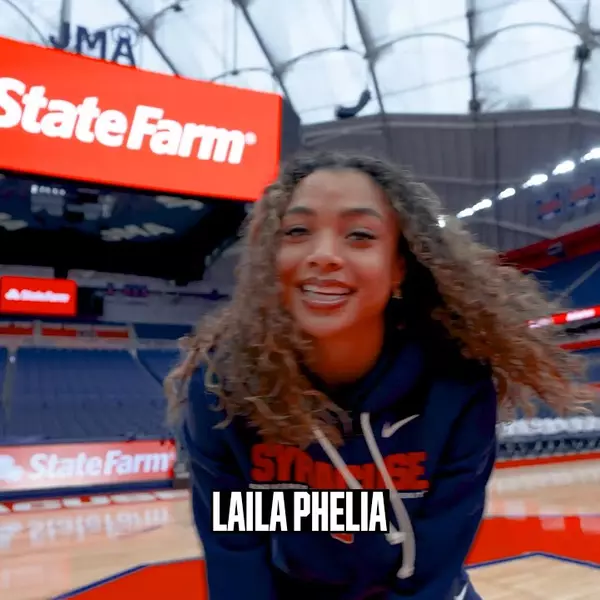 Image related to Stanchion to Stanchion | Laila Phelia