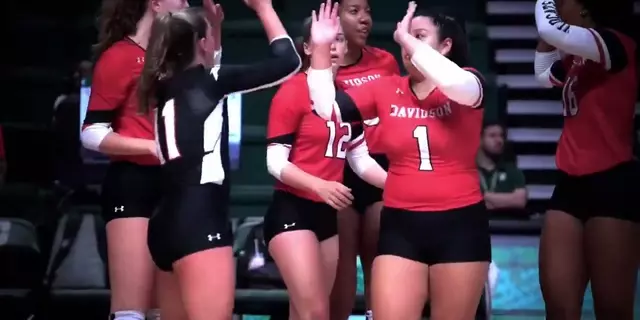 Poster image for Volleyball - Us vs. Everybody