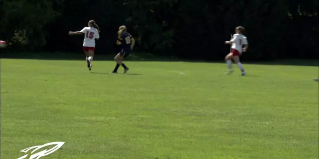 Poster image for Toledo Defeats Detroit 1-0 in 81st Minute