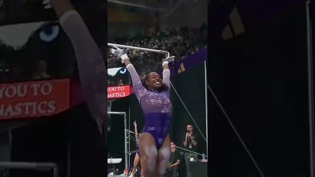 Poster image for Sticks are contagious with these Huskies!