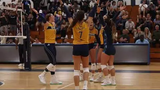 Poster image for 2023-24 Year in Review