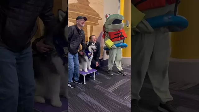 Poster image for We invited Humpy to a game & it went exactly as expected 😂 #gohuskies #humpy #mariners