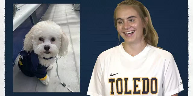 Poster image for Soccer Get to Know - Our Dogs!