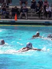 Poster image for CBU Men's Water Polo vs Westcliff