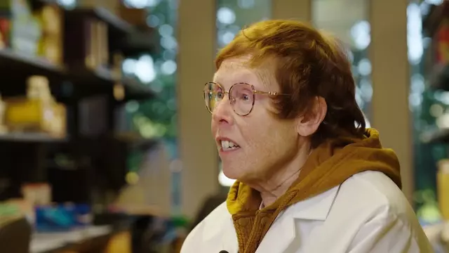 Poster image for Huskies for a Cure | UW Medicine's Dr. Nora Disis, Director of the Cancer Vaccine Institute
