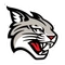 Davidson logo