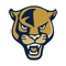 Fiu logo