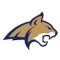 Montana State logo