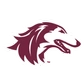 Southern Illinois University