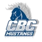 Central Baptist College