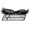 LIU Brooklyn