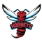 Delaware State logo