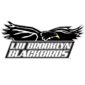 LIU Brooklyn