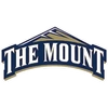 MOUNT