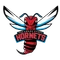 Delaware St. logo