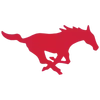 Southern Methodist University