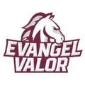 Evangel