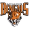 Buffalo logo