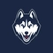 Uconn logo