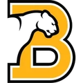 Birmingham-Southern